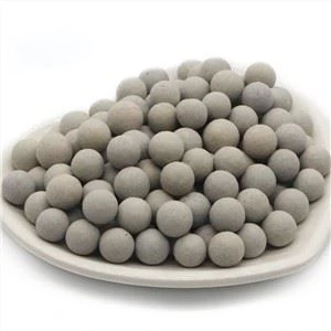 สื่อสนับสนุน Catalyst Bed